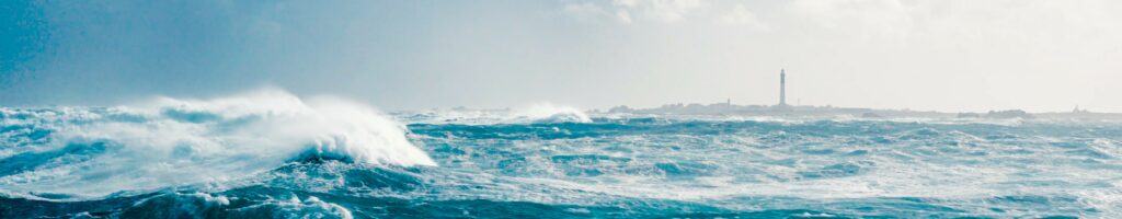 Home logo triawest etroit